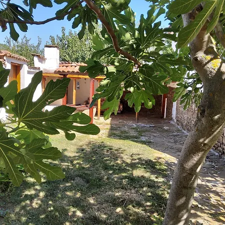 House Sleeps 6-garden-freeparking-bbq-patio Ognen